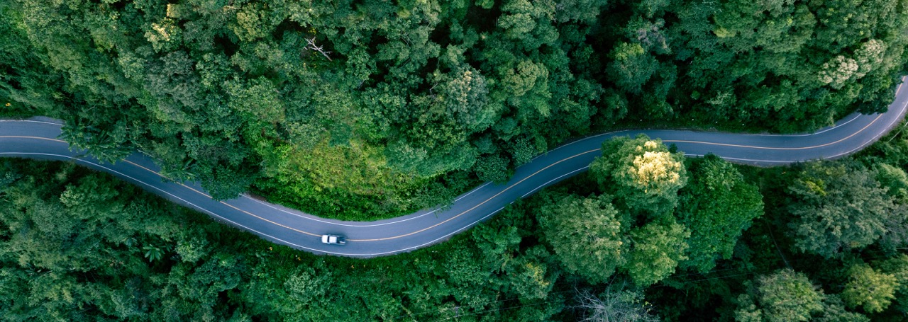 Sustainability to ensure permanence in time